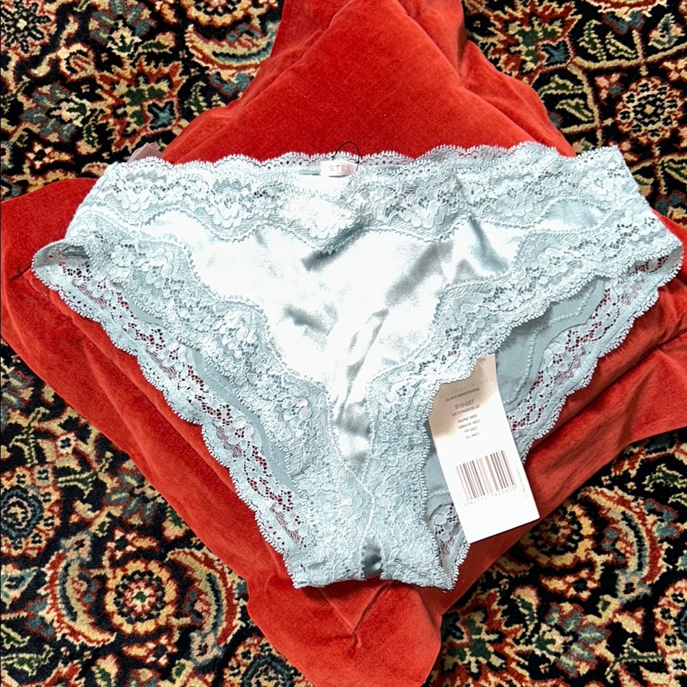 Stella McCartney NWT Victorian Blue (Pale Mint) silk and lace panty M